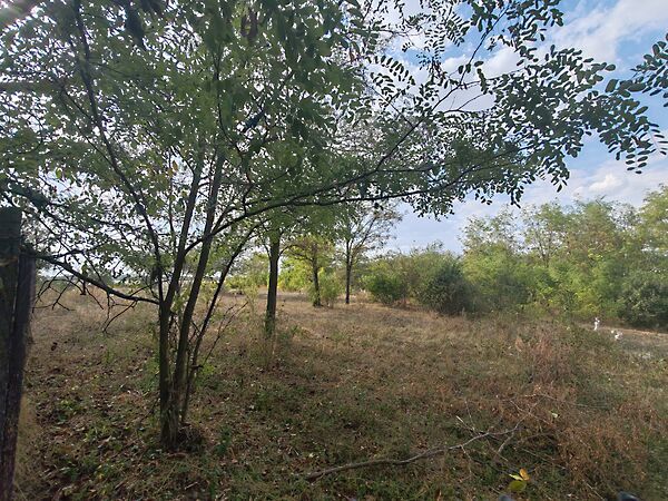 Eladó földterület Nagyvenyim