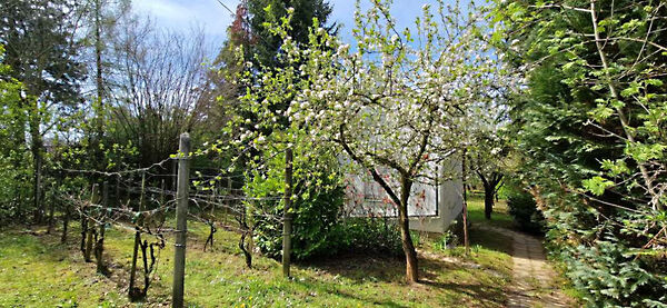 Eladó nyaraló Kaposvár, Toponár