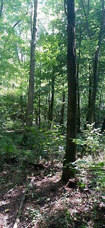 Eladó földterület Kaposkeresztúr