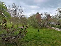Eladó földterület Veszprém