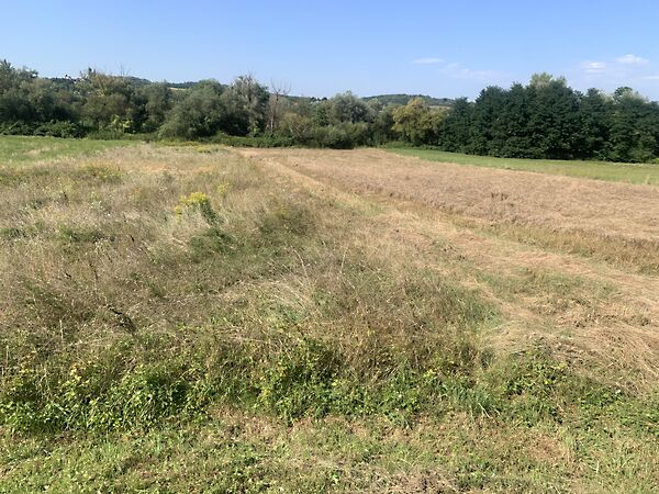 Eladó földterület Zalalövő