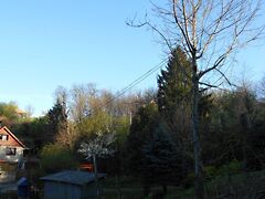 Eladó földterület Zalaegerszeg