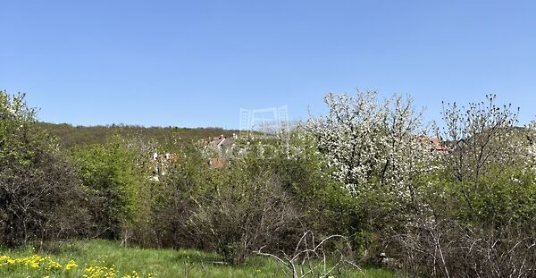 Eladó földterület Budakeszi