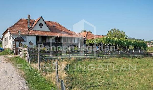 Eladó üzleti Lovas