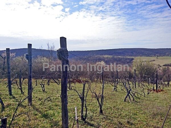 Eladó földterület Balatonalmádi