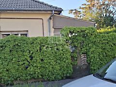 Eladó ház Budapest, XX. kerület