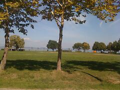 Eladó ház Zamárdi