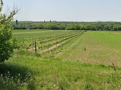 Eladó földterület Balatonboglár