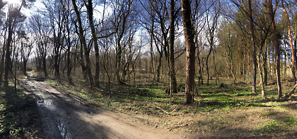 Eladó földterület Zalaszántó