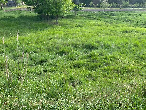 Eladó földterület Törtel