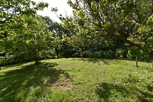 Eladó földterület Sárhida