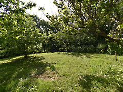 Eladó földterület Sárhida