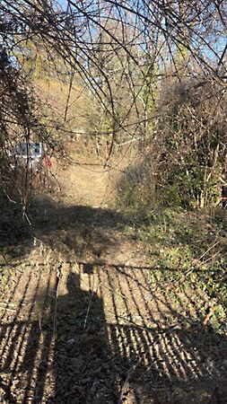 Eladó földterület Budakeszi, Budakeszi-Makkosmária