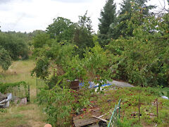 Eladó földterület Tata