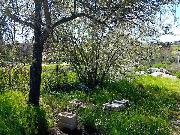 Eladó földterület Tarján