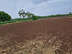 Eladó földterület Nyíregyháza, Oros