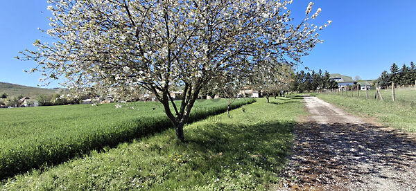 Eladó földterület Kistótfalu