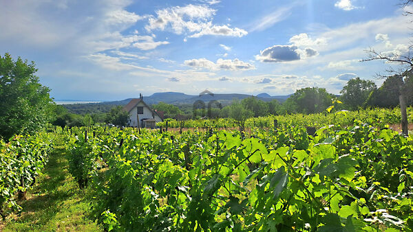Eladó földterület Révfülöp