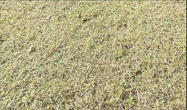 Eladó földterület Zics