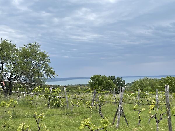 Eladó földterület Balatonalmádi, Vöröshegy