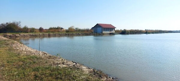 Eladó földterület Gyula