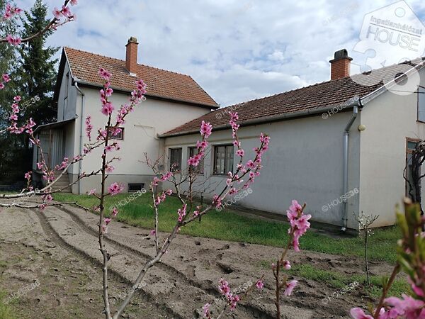 Eladó ház Kiskunfélegyháza