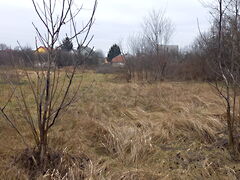 Eladó földterület Gesztely