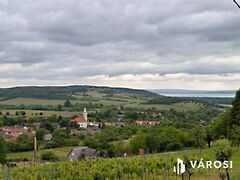 Eladó nyaraló Balatoncsicsó