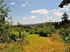Eladó földterület Kőszeg, Szabó-hegy