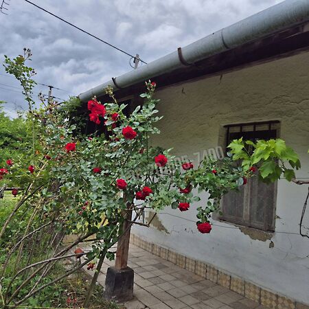 Eladó ház Poroszló