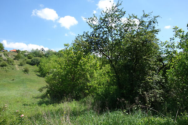 Eladó földterület Isaszeg, Öreghegy