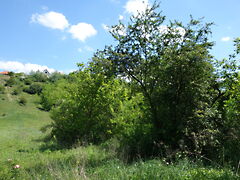 Eladó földterület Isaszeg, Öreghegy