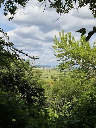 Eladó földterület Budakalász