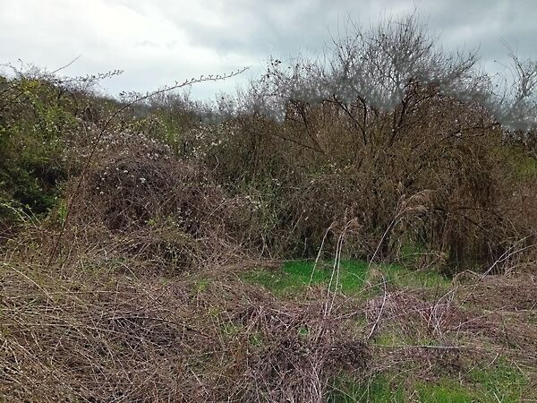 Eladó földterület Sárisáp