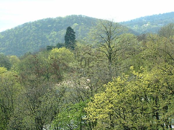 Eladó lakás Budapest, II. kerület