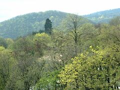 Eladó lakás Budapest, II. kerület