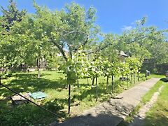 Eladó földterület Érd