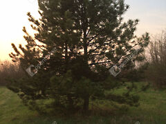 Eladó földterület Tata