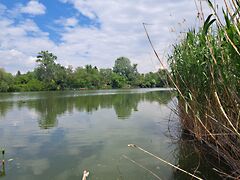Eladó földterület Szolnok, Tenyősziget