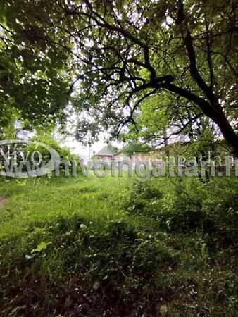 Eladó ház Hárskút