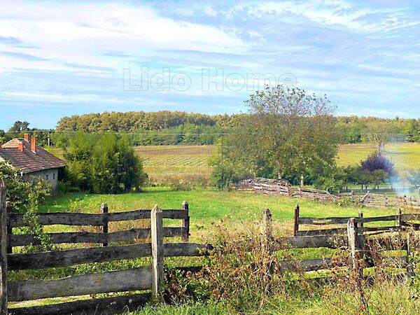 Eladó földterület Hollád