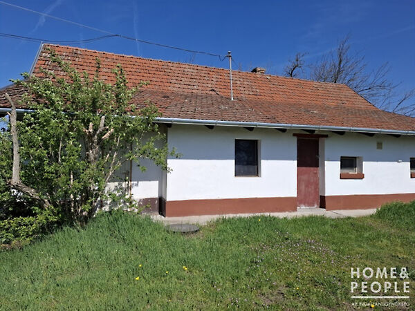 Eladó ház Balástya