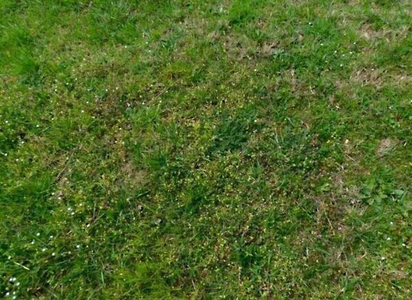 Eladó földterület Ságvár