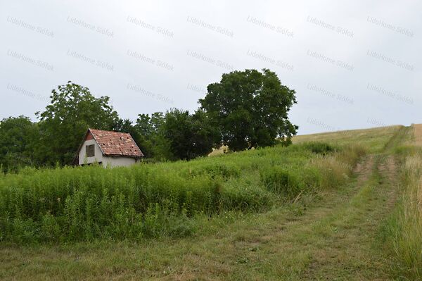 Eladó földterület Bálványos