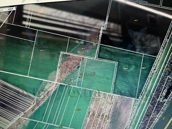 Eladó földterület Tiszasziget