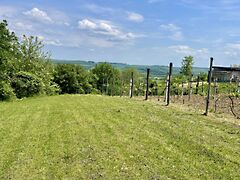 Eladó földterület Zalacsány