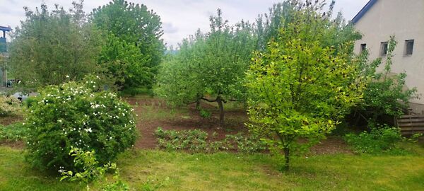 Eladó földterület Szanda