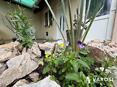 Eladó ház Debrecen, Kerekestelep