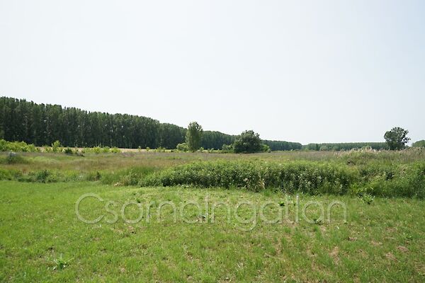 Eladó földterület Rábapatona