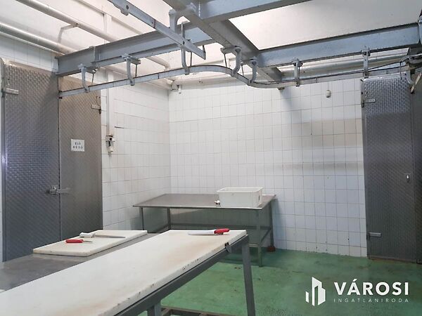 Eladó ipari Hódmezővásárhely